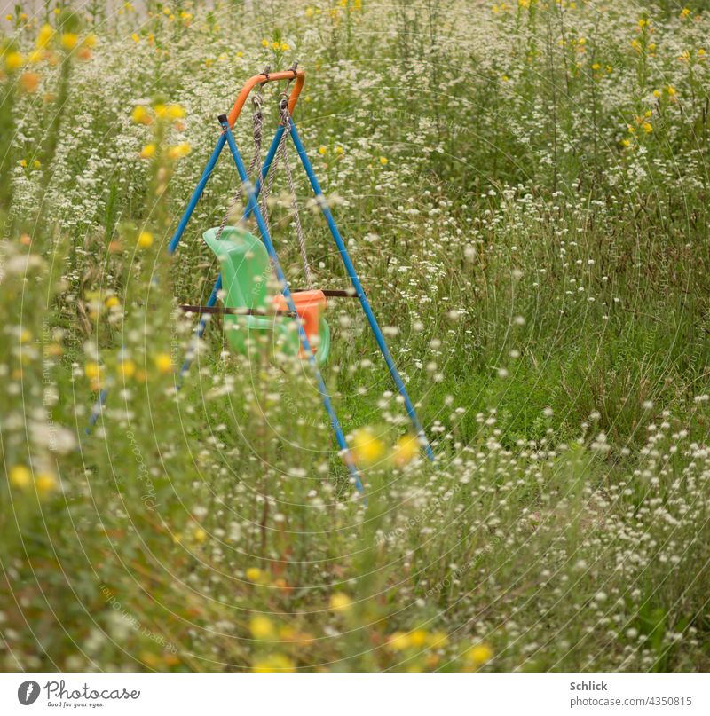 Colourful plastic swing for toddlers among many wild flowers Swing Meadow blossom Infancy Green Summer Nature Blossoming Flower meadow Meadow flower Summery