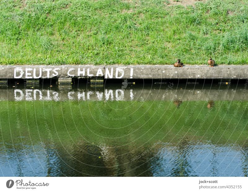 Reflection in Germany! with ducks Capital letter Street art Word Bank reinforcement Treptow Neukölln Berlin Surface of water Grass Duck Sunlight authored
