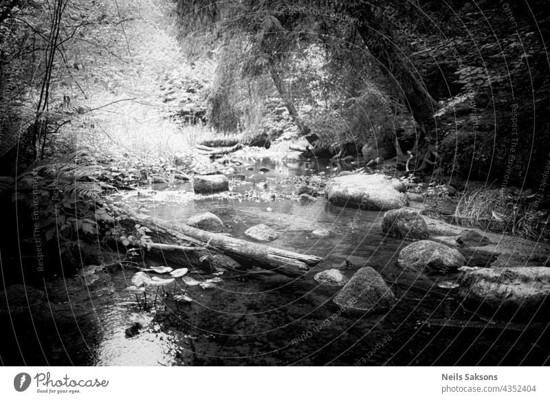 sunny warm summer mid day. Stones and tree trunks in small river. Harsh light monochrome stone boulder tourism idyllic rock nature outdoors landscape copy space