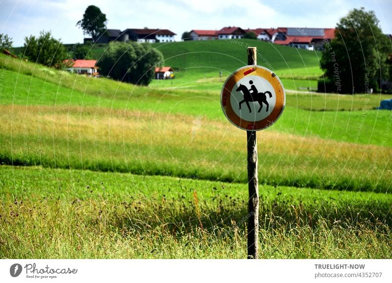 In the middle of my native Upper Bavaria, a no horse and rider sign on a slender wooden post indicates that the sensitive, often wet meadows and fields need protection and care. Stately farms on the hill in the background