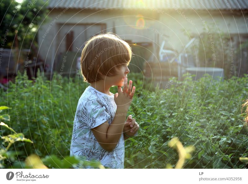 profile of a boy  walking in the garden and looking forward Education To enjoy Optimism Religion and faith Connection Positive Innocent Playful showing park