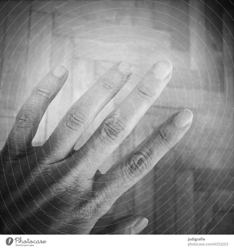 hand Hand Fingers Parquet floor Fingernail Skin Human being four Forefinger Middle finger Ring finger Thumb Little finger Black & white photo Joint