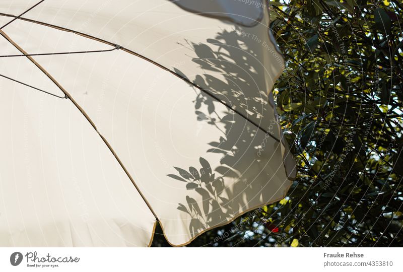Part of white parasol with shadow of leaves from tree behind it Sunshade White sunny summer atmosphere Shadow Garden in the shade Light Shadow play Contrast