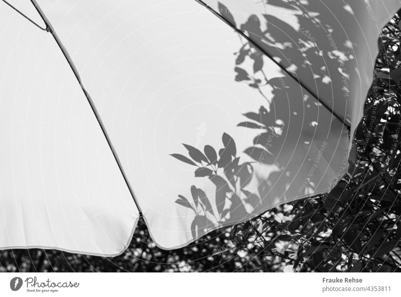 Part of white parasol with shadow of leaves from tree behind it Sunshade White sunny summer atmosphere Shadow Garden black-and-white in the shade Light