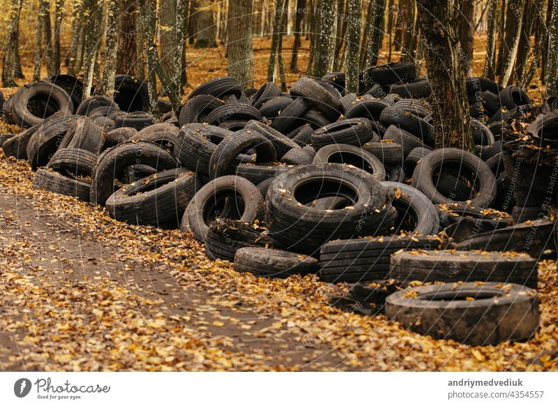 Old automobile tyre thrown out in a forest. noise is present. tire old abandoned wood rubber pollution garbage ecology transportation landfill dumped black