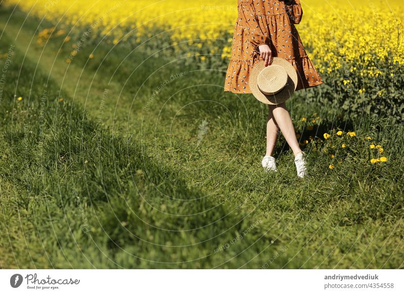 cropped photo of young woman walks in a field of yellow rapeseed. Girl brunette long hair fly in wind dressed in dress and straw hat. summer holiday concept