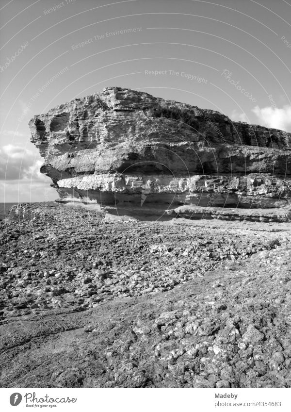 The pink rocks in summer sunshine on the coast of the Black Sea in Kefken in Kocaeli in Turkey, photographed in classic black and white Ceibs Kandira Pink rocks