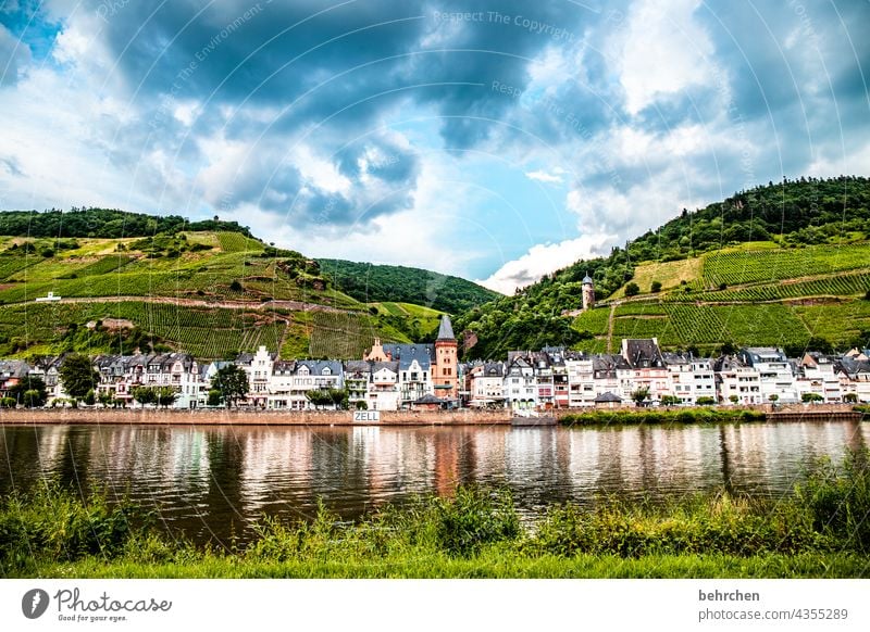 moselle stories Architecture Town Forest Vacation & Travel Hiking Nature Summer Clouds Sky Landscape Mountain Vine Vineyard Bunch of grapes vine River Moselle