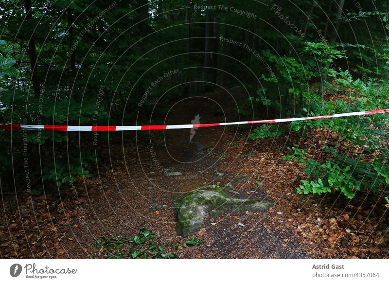 A forest path is blocked with a red and white barrier tape Forest off Barred Crime scene blocking peril Dangerous Band Reddish white forbidden No passage cordon