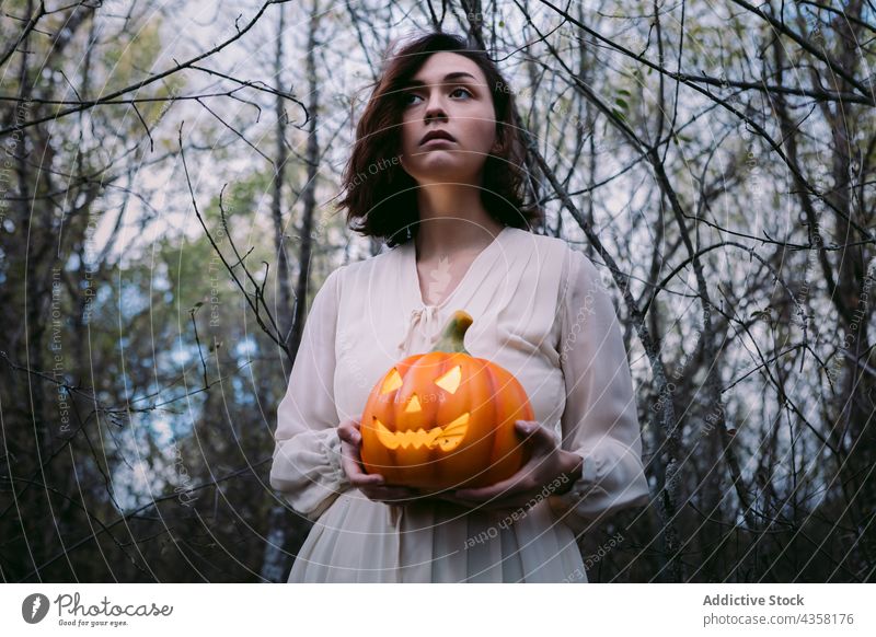 Woman with Halloween pumpkin standing in forest woman halloween lantern jack o lantern woods autumn celebrate female fall holiday white dress tradition outfit