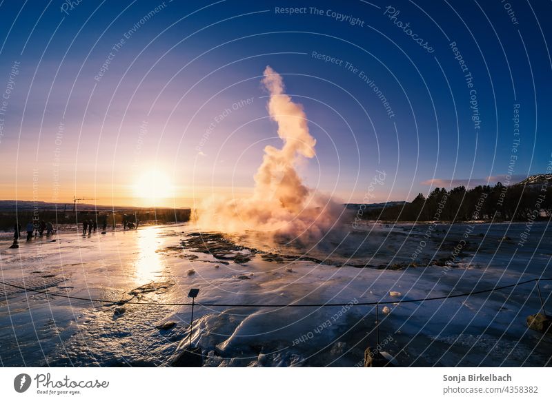 Geysir Strokkur shortly before the eruption in the backlight of the morning sun, Iceland in winter Geyser Icelandic Golden Circle Winter Landscape Attraction