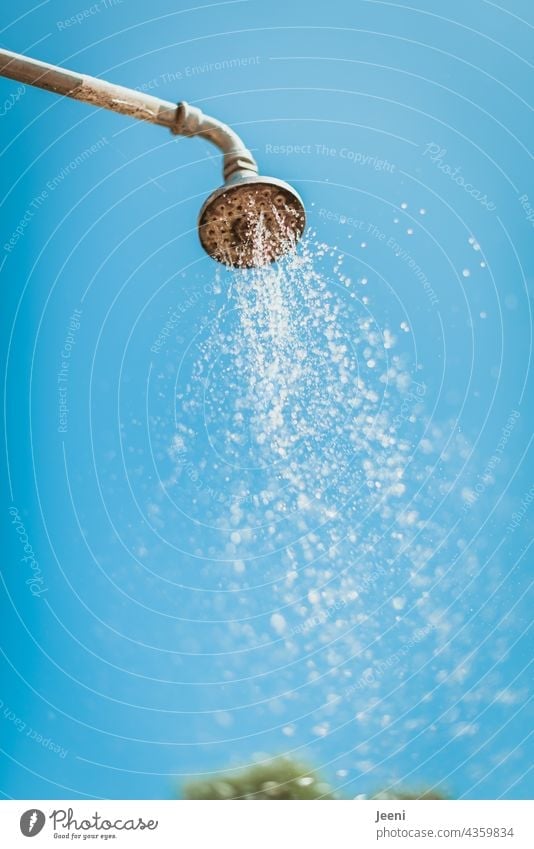 summer shower Summer shower rain shower Shower outside shower garden shower Water Drops of water Wet Jet of water Wash Shower head Nature Blue sky Sky Damp