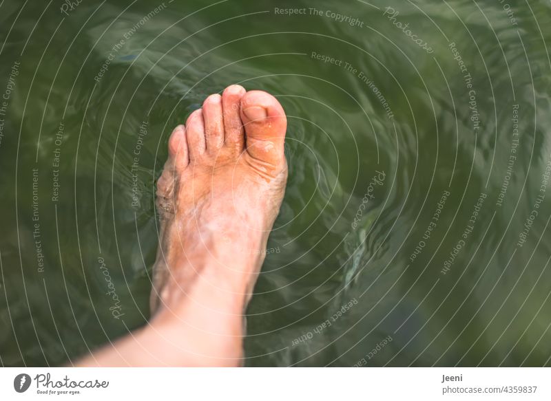 Dangle your foot in the water Feet Left Lake Water stretch Legs Barefoot Human being To enjoy Relaxation Summer Calm relaxing Contentment Break Freedom Dream
