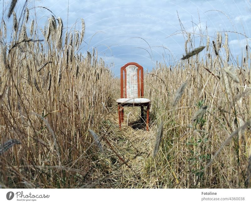 "The things you discover when you're out with your camera" I thought to myself when I saw this chair in the cornfield. Colour photo Deserted Day Detail