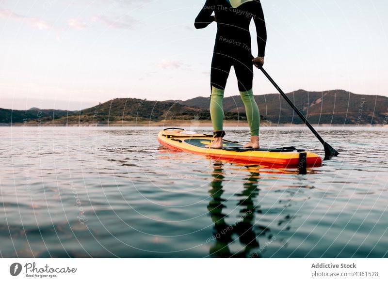 Unrecognizable man floating on paddleboard in sea surfer sup board sunset summer male water activity ocean evening vacation calm surfboard sport surfing