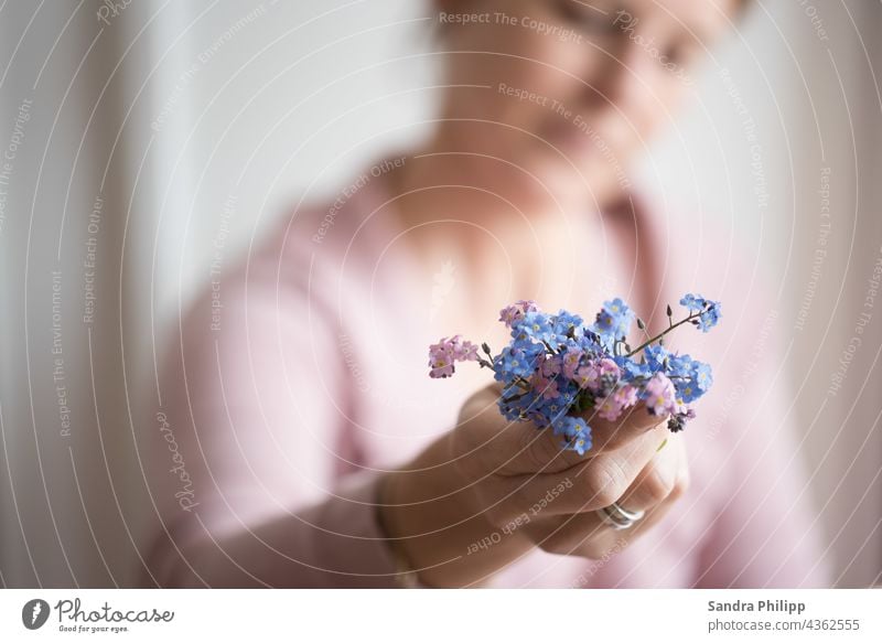 Girl with a bouquet of forget-me-nots in her hand Flower Blue Pink shallow depth of field Plant blossom Close-up naturally Hand Blossom leave Human being