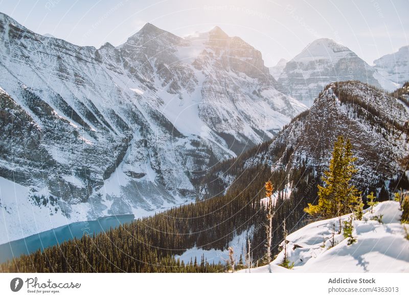 Snowy mountains near lake in nature forest snow winter sunny daytime landscape ridge lake louise banff national park alberta canada coniferous tree water