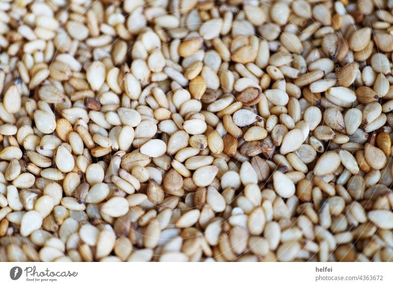 Sesame seeds photographed in studio with macro setting as a close-up Poppy Organic Minimalistic Isolated Self-made golden Fresh Food Cooking aligned Multiple