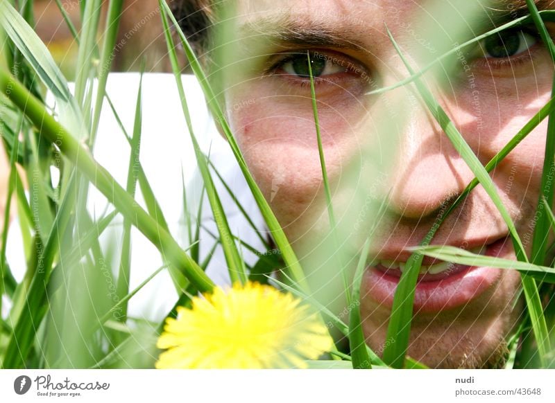 look... Man Flower Grass Green Yellow Meadow Face Eyes Lawn Hair and hairstyles Lie Nature Laughter Looking