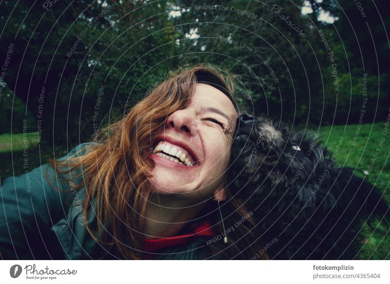 Dog sniffing nudging face of laughing woman Woman Contact proximity Laughter Joy tenderness Pet Friendship Animal Together Happiness Happy Love of animals