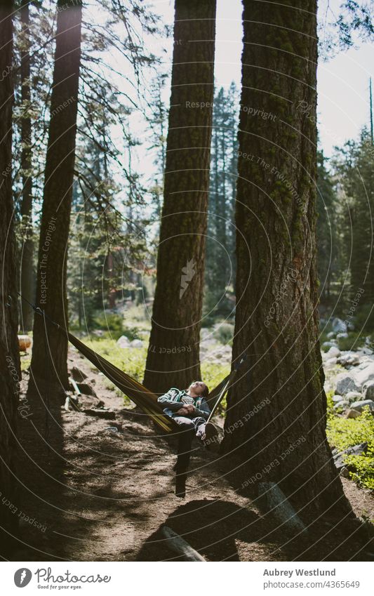 woman laying in a hammock in the woods adults america california culture destination exploration explore exploring forest fresh giant girl hiker hiking holiday