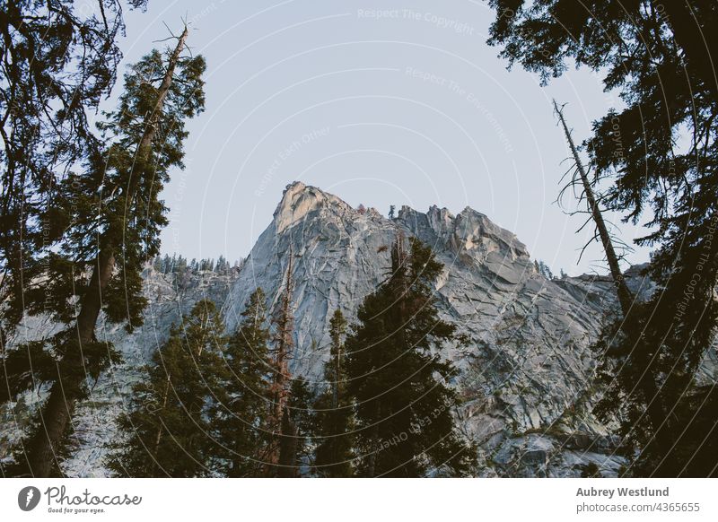 landscape of granite mountain in sequoia national park adults america california culture destination exploration explore exploring forest fresh giant hiker