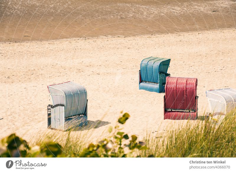 Beach chairs on the North Sea beach at low tide with dune grass in the foreground beach chairs tranquillity Deserted Sand Summer Low water Relaxation