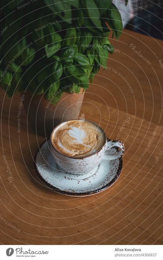 coffee and basil coffee cup breakfasting white coffee To have a coffee Beverage Drinking To enjoy Hot drink Coffee break Coffee cup Coffee table