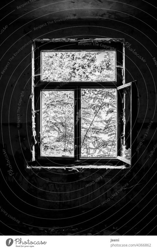 Lost Land Love | Dark inside and light outside Bright Contrast Rich in contrast High contrast Black White Black & white photo black-and-white Window Open open