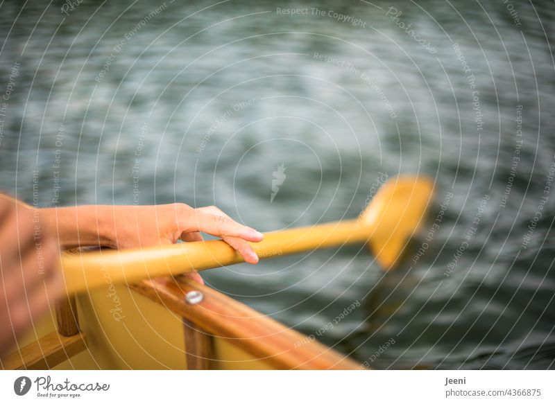 canoe Canoe Canoe trip Canoeing Lake River Water Surface of water Leisure and hobbies free time hobby Wood Nature naturally Summer Summer vacation