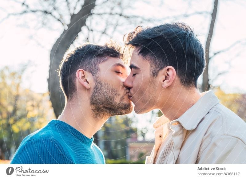 Foto de young couple kiss, boyfriend kissing girlfriend face in a park in  summer do Stock