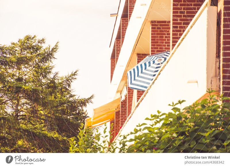 side view of a low 1960s apartment block with balconies, two yellow awnings and a striped parasol. Shrubs are in the foreground and conifers to the side....