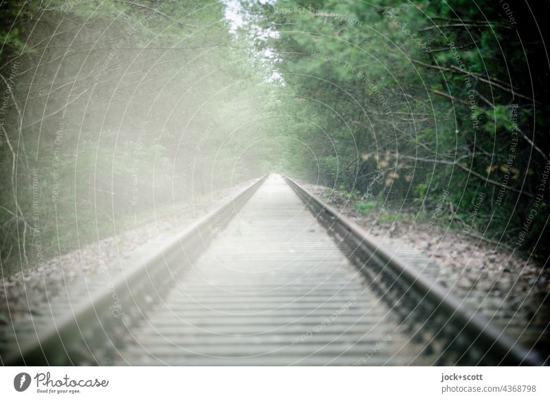 Spaces | straight tracks lost in the middle of the forest lost places Railroad tracks Traffic infrastructure rail Double exposure Ravages of time