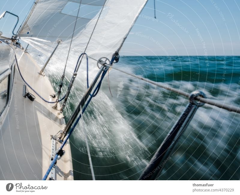 Sailboat going fast Water Sailing Watercraft Ocean Vacation & Travel Exterior shot Summer Adventure Sky Wind Horizon Freedom Baltic Sea Speed Beautiful weather