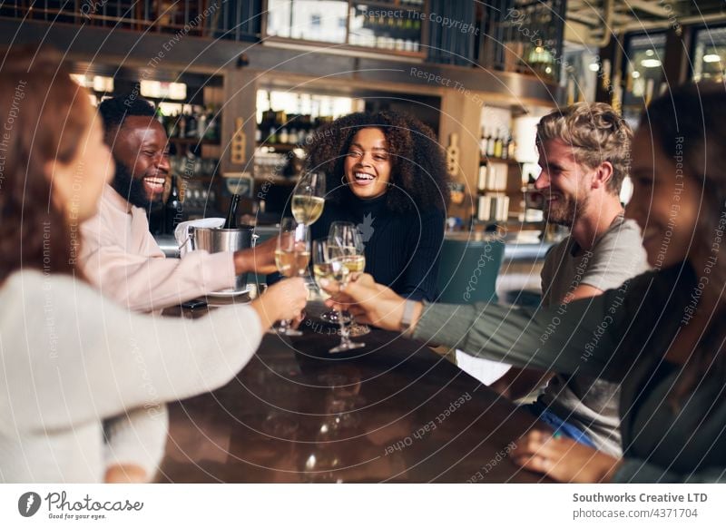 Friends celebrating with wine in bar friend toast celebration woman young group socializing indoors day venue interior five multiethnic mixed race caucasian