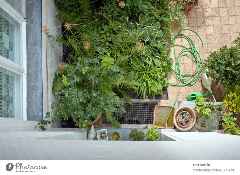 Bird's eye view of the backyard Old building on the outside Fire wall Facade Window House (Residential Structure) rear building Backyard Courtyard