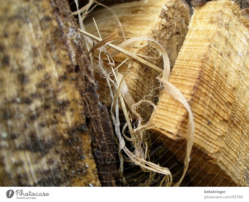 good wood Wood Birch tree Firewood Macro (Extreme close-up) Have a good game