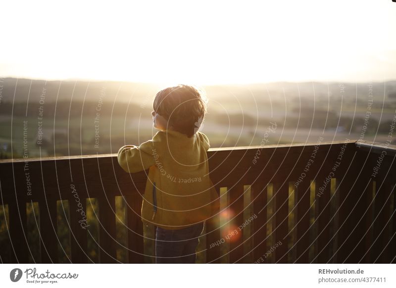 Child in evening light looks into the distance Boy (child) Infancy 3 - 8 years Human being Exterior shot fortunate Happy happy child Contentment To enjoy