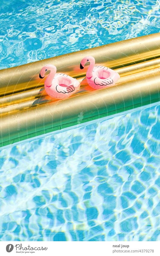 Two inflatable flamingos enjoy their lunch break on a golden air mattress in crystal clear water vacation Break Friends Couple Couples' holiday Summer vacation