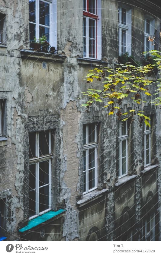 an old backyard in Friedrichshain Backyard Berlin Colour photo Deserted Town Capital city Downtown Exterior shot Old town Window Manmade structures Building Day