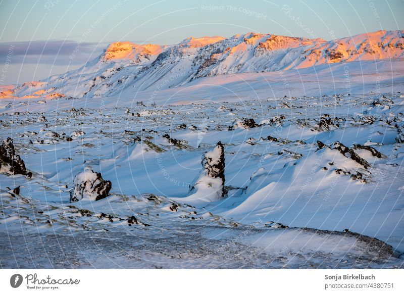 In the morning in a lava field, somewhere on the N1 behind Reykjavik heading south at sunrise, Iceland in winter Icelandic Lava Lava field shape Figures trolls