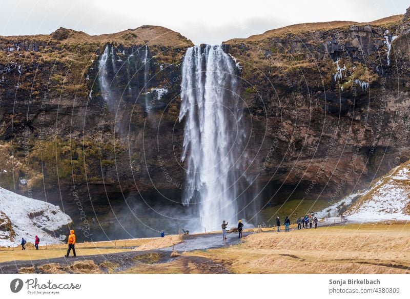 Seljalandsfoss - Iceland's waterfalls in winter Seljaland's Fossus Waterfall Icelandic Winter hydropower Landscape Nature Massive Attraction Tourism tourism