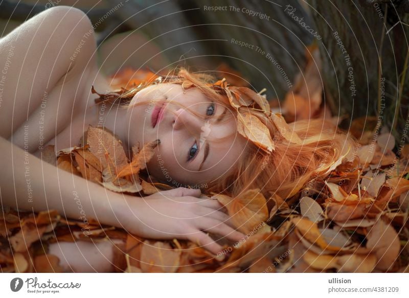 Beautiful sexy lovely young girl lying on golden autumn leaves, covered with colorful autumnal leaves, in the park, with smile in the face. forest woman hair