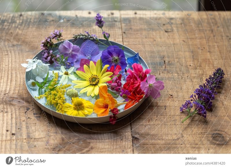 There is still summer - Fragrant bowl with fresh colorful summer flowers on sturdy wooden table Flower bowl blossoms Summerflower Summer feeling Summery