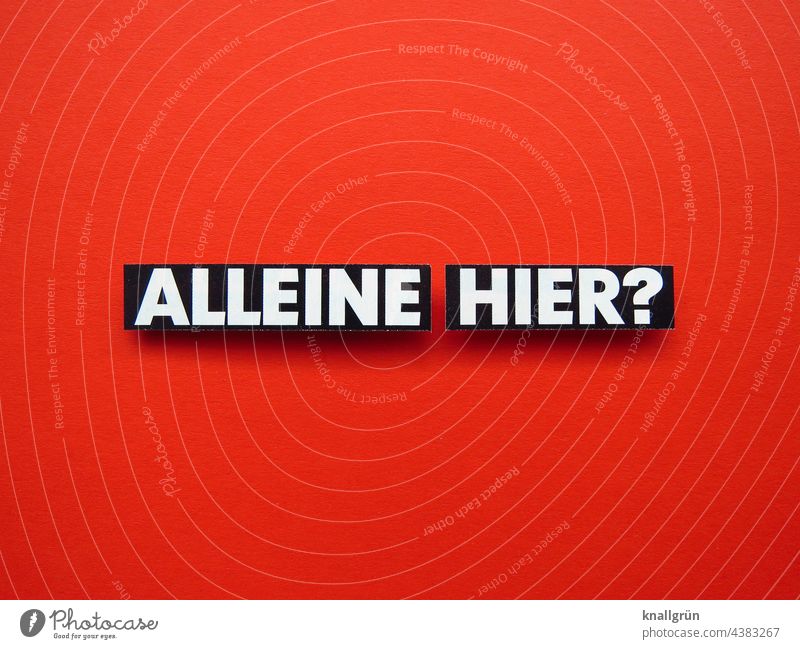 ALL HERE? pull Flirt Contact Communicate Curiosity Interest contact talk to Expectation Emotions Ask Question mark Colour photo Red White Black Characters