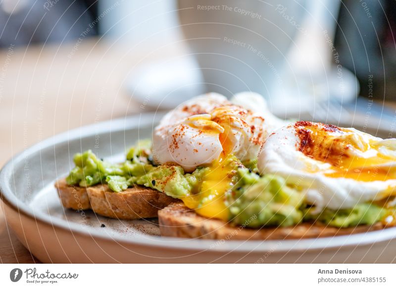 Toast and Poached Eggs egg toast avocado vegetarian healthy poached food yolk sandwich breakfast bread delicious poached egg on toast tasty cooked benedict
