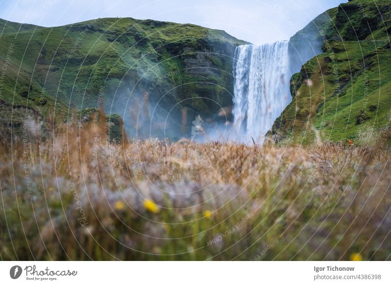 The most popular waterfall in Iceland - Skogafoss. Grass field in defocused foreground iceland skogafoss famous landscape river summer beautiful stream travel