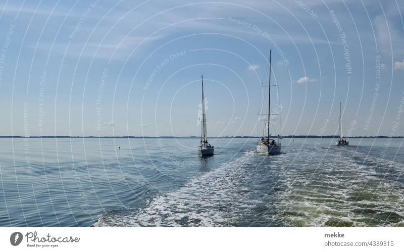 Slipstream sailing on the Baltic Sea Sailboat Sailing Sailing ship Sailing trip Ocean Water Summer Waterway Aquatics Waves Calm Lake Ferry Leeches