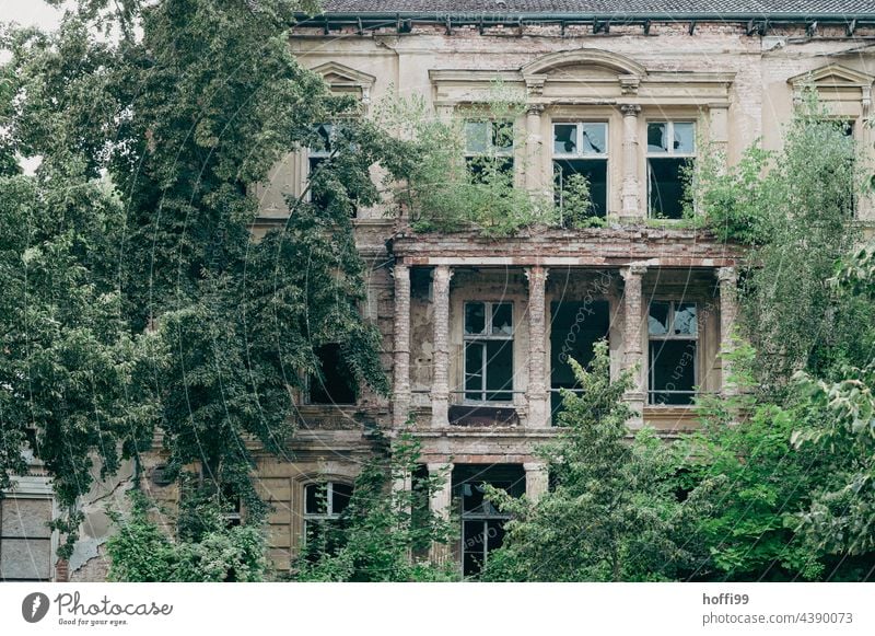 Dilapidated overgrown villa with broken windows Decline Villa Brick building clinker facade Wall (building) Gloomy depression Construction site Transience Ruin