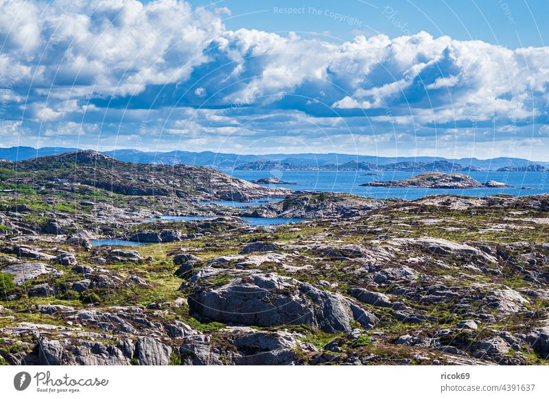 Landscape on the Lindesnes peninsula in Norway lindesnes coast North Sea Skagerrak archipelago archipelago garden Rock Summer Nature Southern Norway Agder
